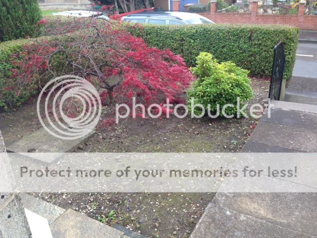 http://i947.photobucket.com/albums/ad315/stukid/IMG_2641_zps7dc256a3.jpg