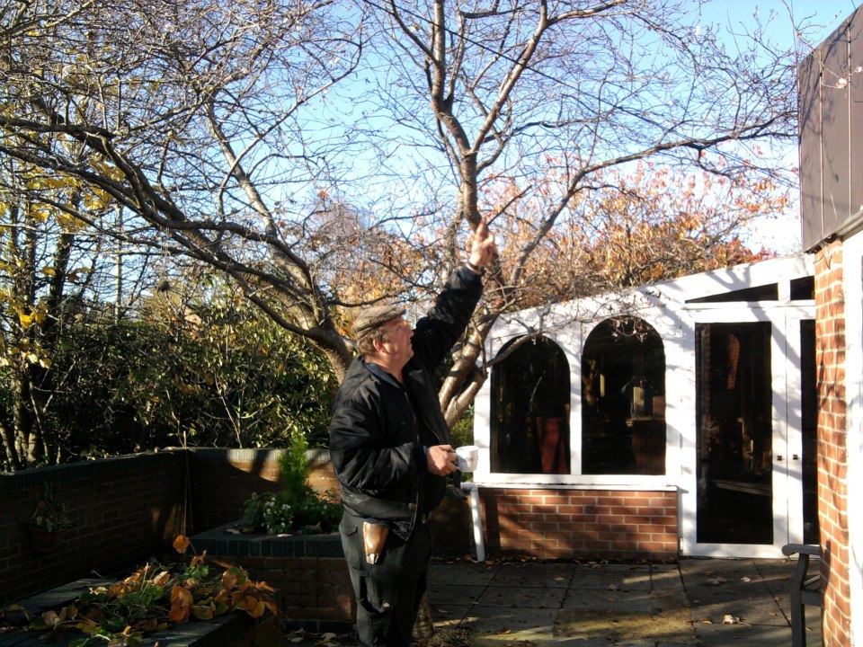 darren the gardener