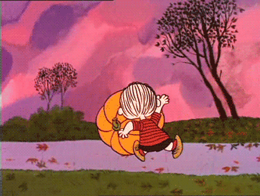Funny Gifs  pumpkin GIF - VSGIFcom