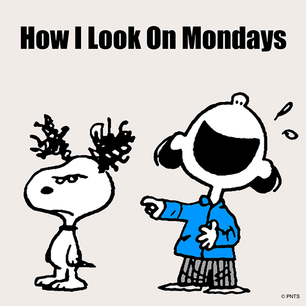 Peanuts how I look on Mondays  Snoopy love Snoopy quotes Snoopy funny