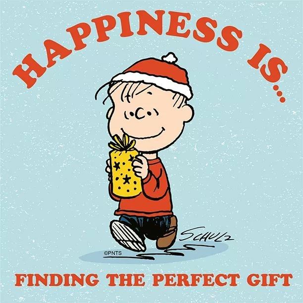 Pin by Sue Winn on Christmas  Snoopy pictures Charlie brown and snoopy  Snoopy christmas