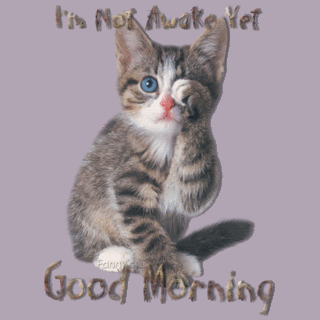 Image result for Sleepy morning images