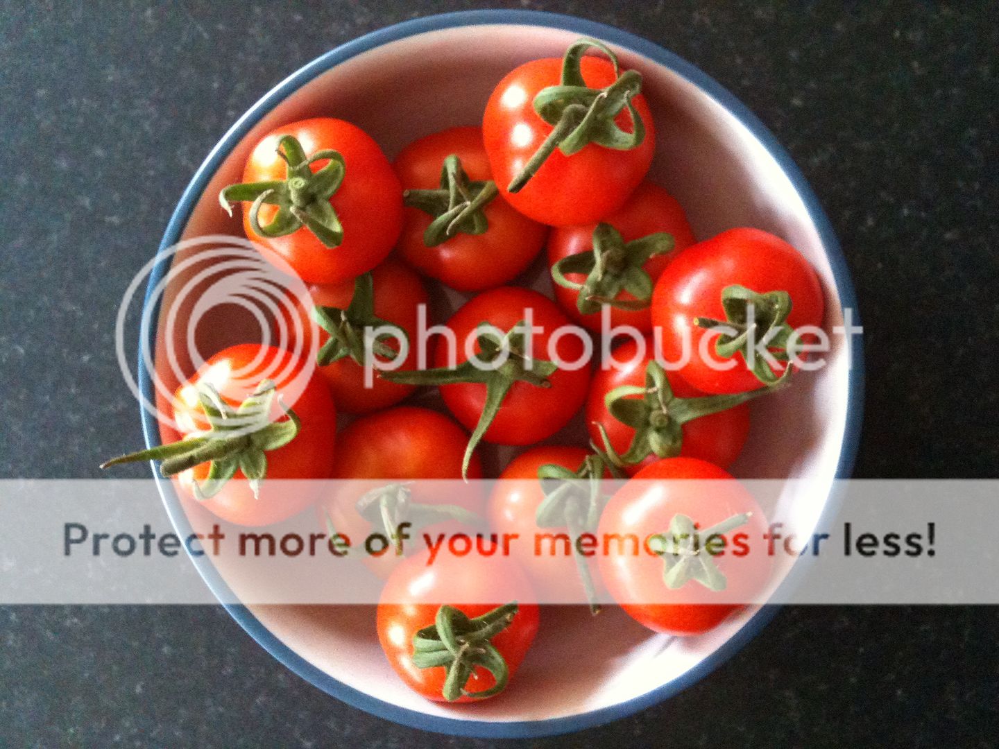 http://i1073.photobucket.com/albums/w391/Gardening7/013_zpsb15087d9.jpg