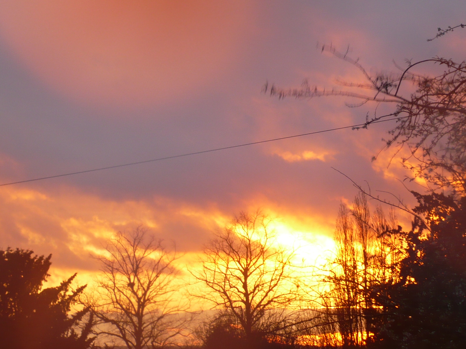 Sunlight