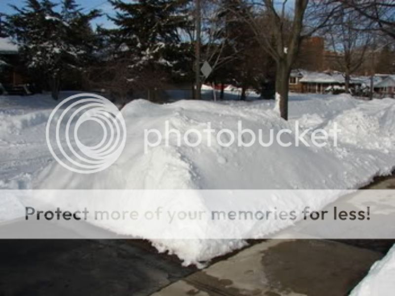 http://img.photobucket.com/albums/v11/otnorot/things/9c879a63-0f70-4ea2-916d-f8aa91ce8a8b_zpsd9a9cc9e.jpg