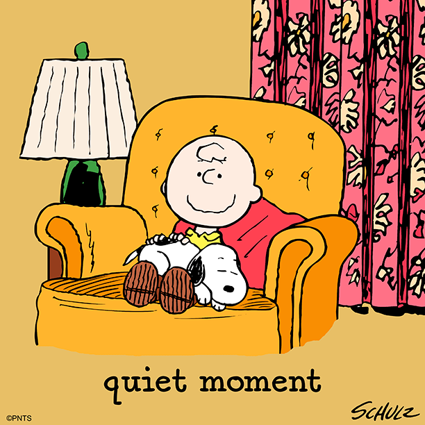 quiet moment  Snoopy Peanuts charlie brown snoopy Snoopy funny