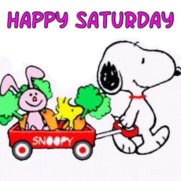 Happy Saturday  Snoopy pictures Snoopy quotes Snoopy and woodstock