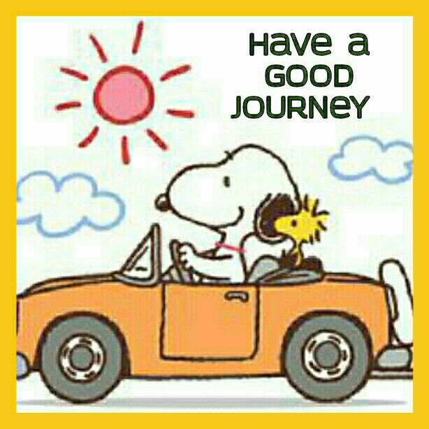 Yes and a Safe one   Snoopy love Snoopy comics Snoopy pictures