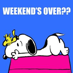 29 Snoopy Weekends ideas  snoopy snoopy quotes charlie brown and snoopy