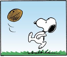 72 Snoopy ideas  snoopy snoopy love snoopy and woodstock