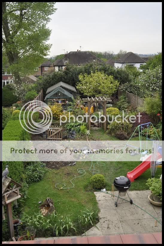 http://i232.photobucket.com/albums/ee192/thebear843/Garden/garden.jpg