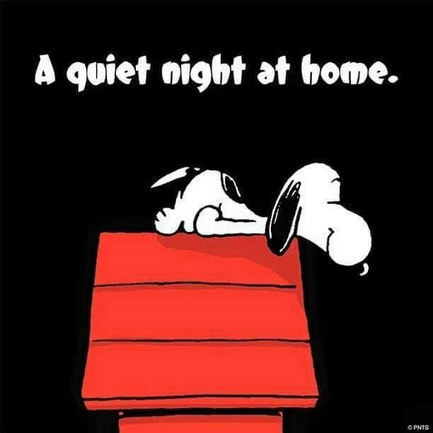 PEANUTS - A quiet night at home  Snoopy love Snoopy quotes Charlie  brown and snoopy