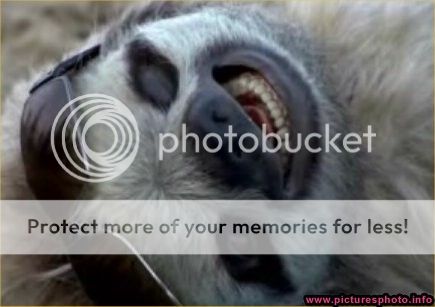 http://i1143.photobucket.com/albums/n627/thedogcody/the-alfa-romeo-sloth-43.jpg