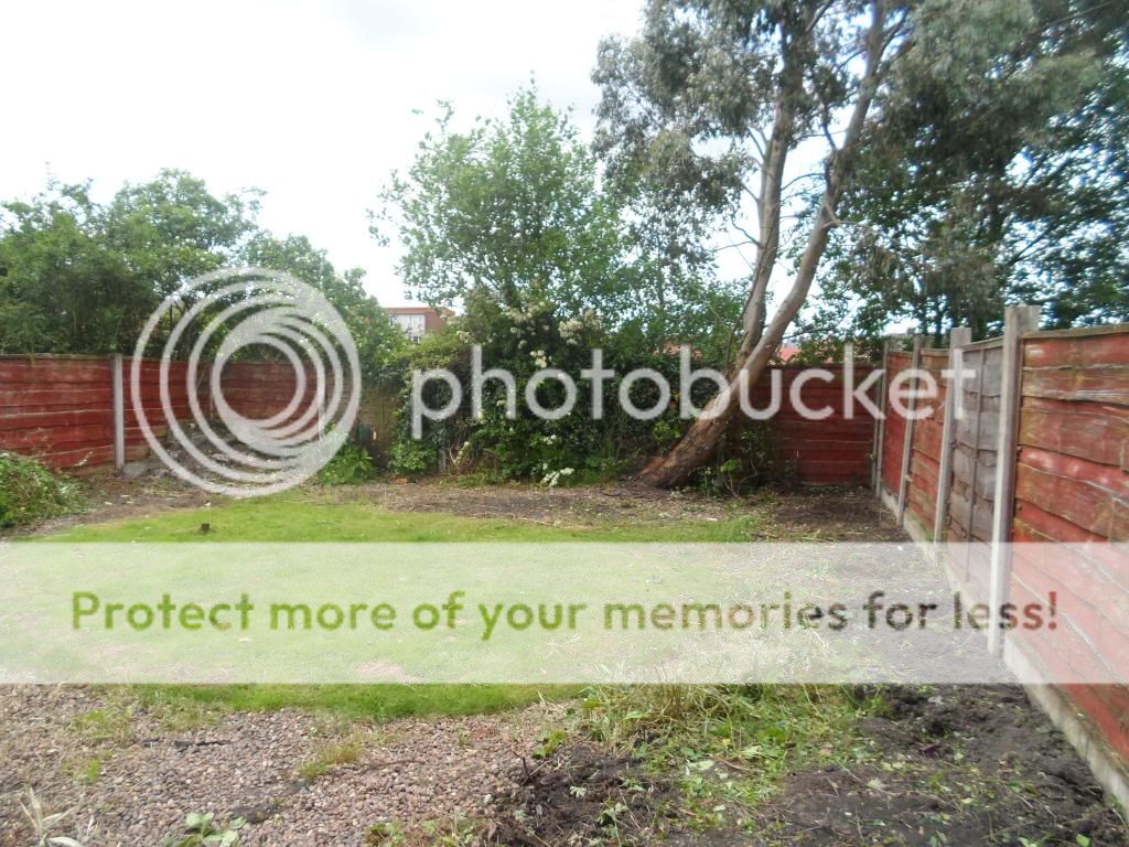 http://i1316.photobucket.com/albums/t612/toast_movg/10_zps13d77686.jpg