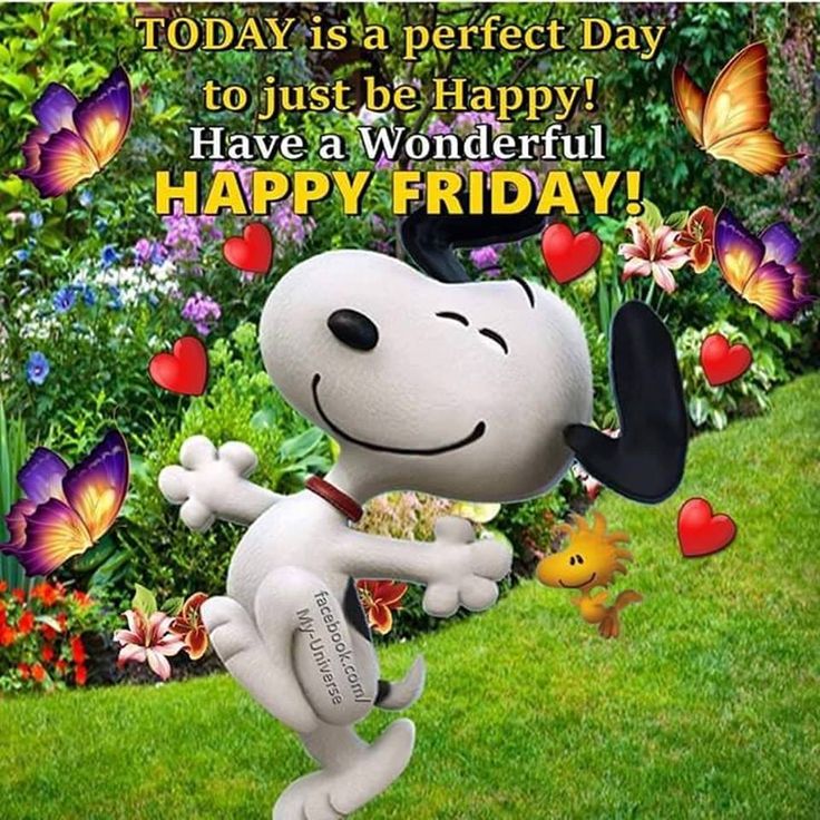Good morning Happy Friday Have a fabulous and blessed day   Happy  friday morning Good morning snoopy Good morning happy friday