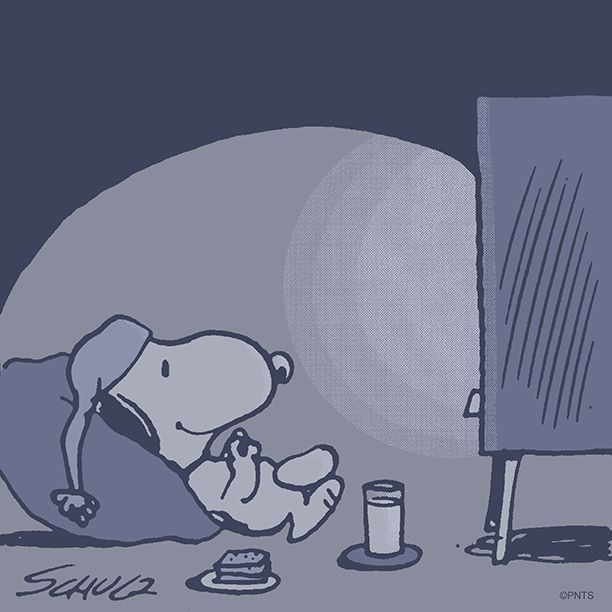 Pin by Tammy Elle  on The Peanuts    Snoopy funny Snoopy pictures  Snoopy love