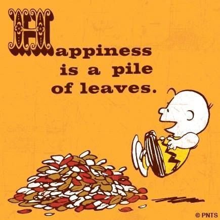 Happiness Is A Pile Of Leaves Pictures Photos and Images for Facebook  Tumblr Pinterest and Twitter  Snoopy Charlie brown and snoopy Charlie  brown