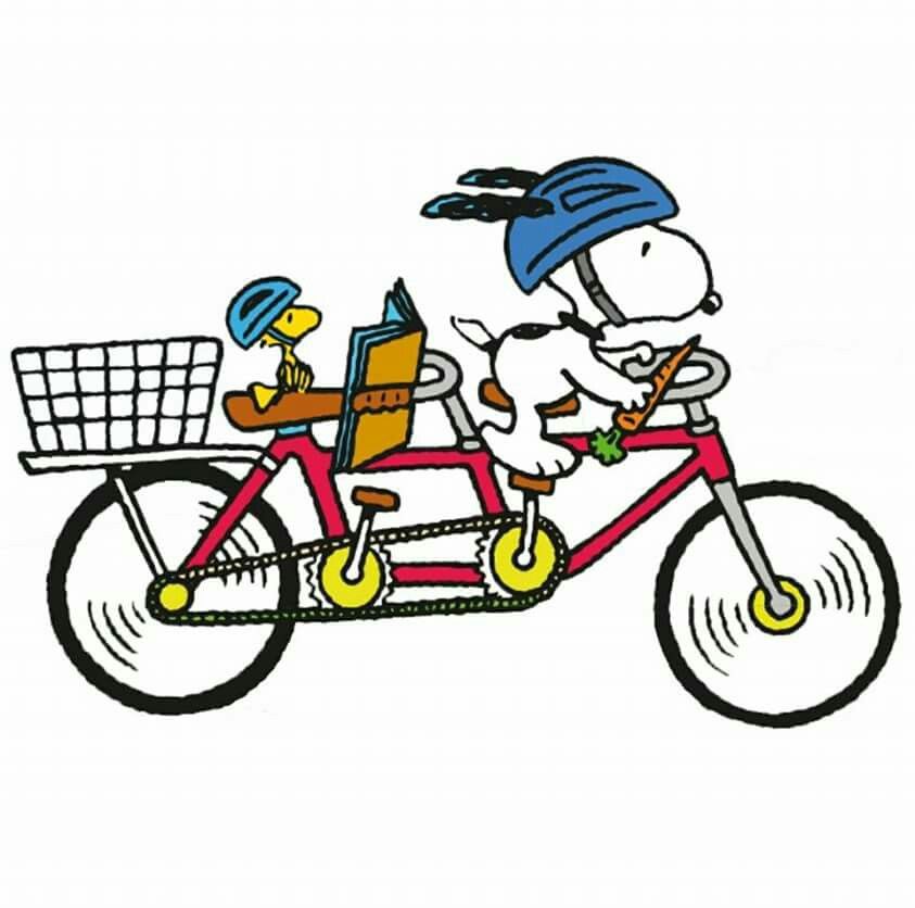 Snoopy and Woodstock Riding a Bicycle Built For Two Wearing Helmets and  With a Basket on the Back  Snoopy love Snoopy Snoopy pictures
