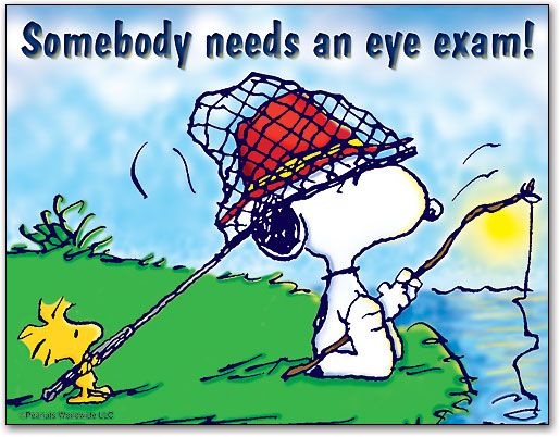 Somebody needs an eye exam  Snoopy comics Snoopy love Snoopy and  woodstock