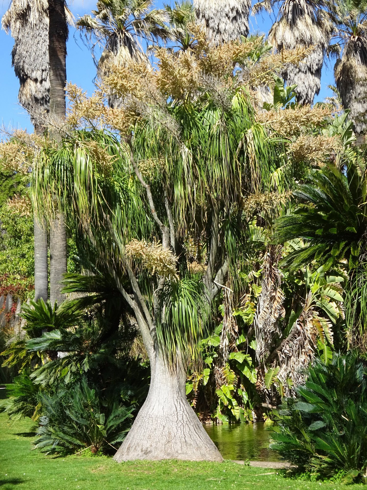 Image: https://us.v-cdn.net/6030279/uploads/editor/jb/ds7zctsjhrb5.jpg