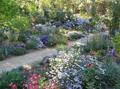 Image result for country cottage garden images