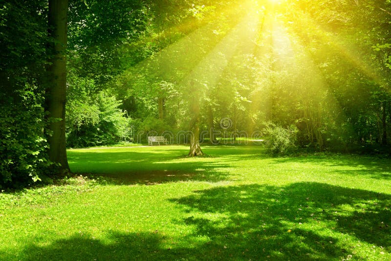 760195 Sunny Day Park Photos - Free amp Royalty-Free Stock Photos from  Dreamstime