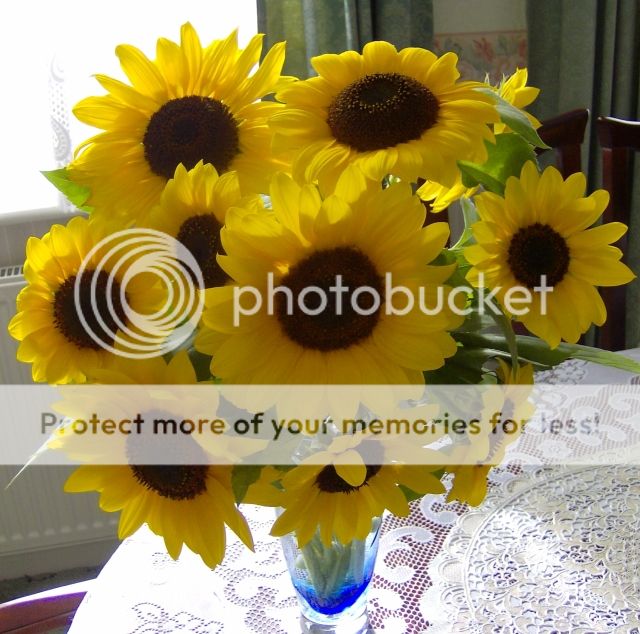 http://i1131.photobucket.com/albums/m551/lilylouise1/sunflowervase013.jpg