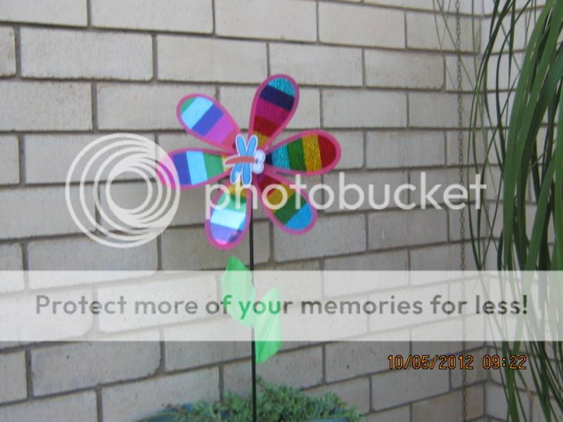 http://i1143.photobucket.com/albums/n627/thedogcody/78171bj_20.jpg