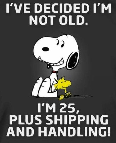 Smile  Funny day quotes Snoopy funny Snoopy quotes