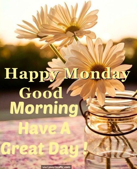 Image result for happy monday morning images