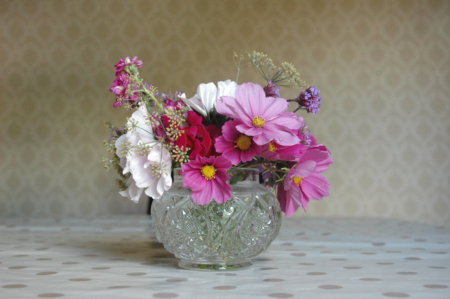 tuckshop gardener