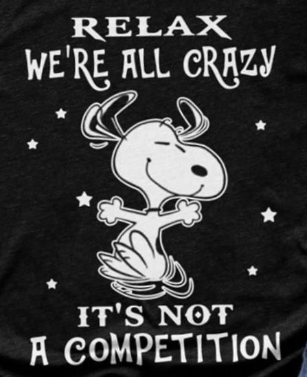 Pin by J Lemoine on Quotes  Snoopy quotes Snoopy funny Cute good morning  quotes