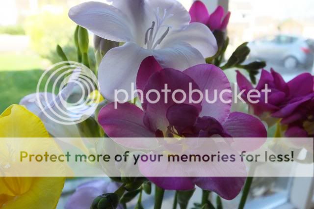 http://i27.photobucket.com/albums/c186/DavidKnapper/003_zps57114b49.jpg