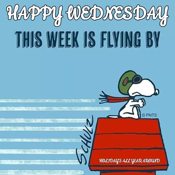 Pin by Jessie Yagyagan on School Memes  Happy wednesday Snoopy quotes  Snoopy love