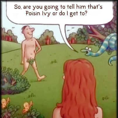 Garden Humor Its poison ivy  Gardening quotes funny Funny quotes Funny  cartoon pictures