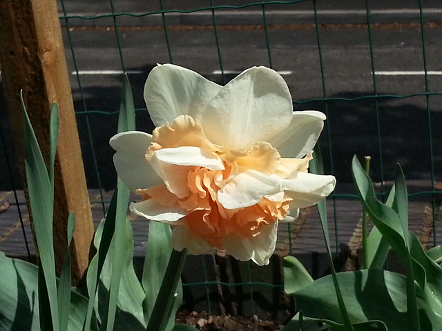 http://farm6.staticflickr.com/5489/9034908965_ee2cc4e279_z.jpg