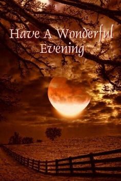 Image result for Have a nice evening