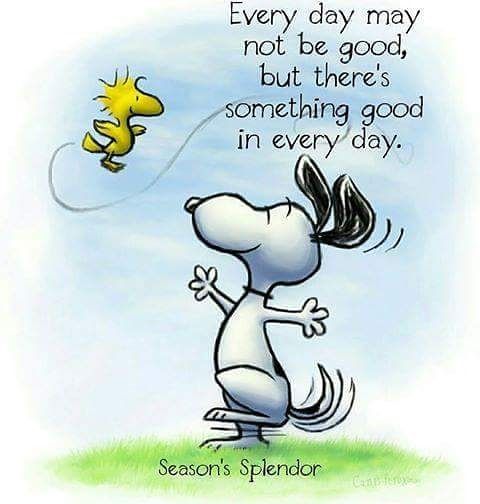 ENJOY YOUR SUNDAY  Snoopy quotes Snoopy Snoopy funny