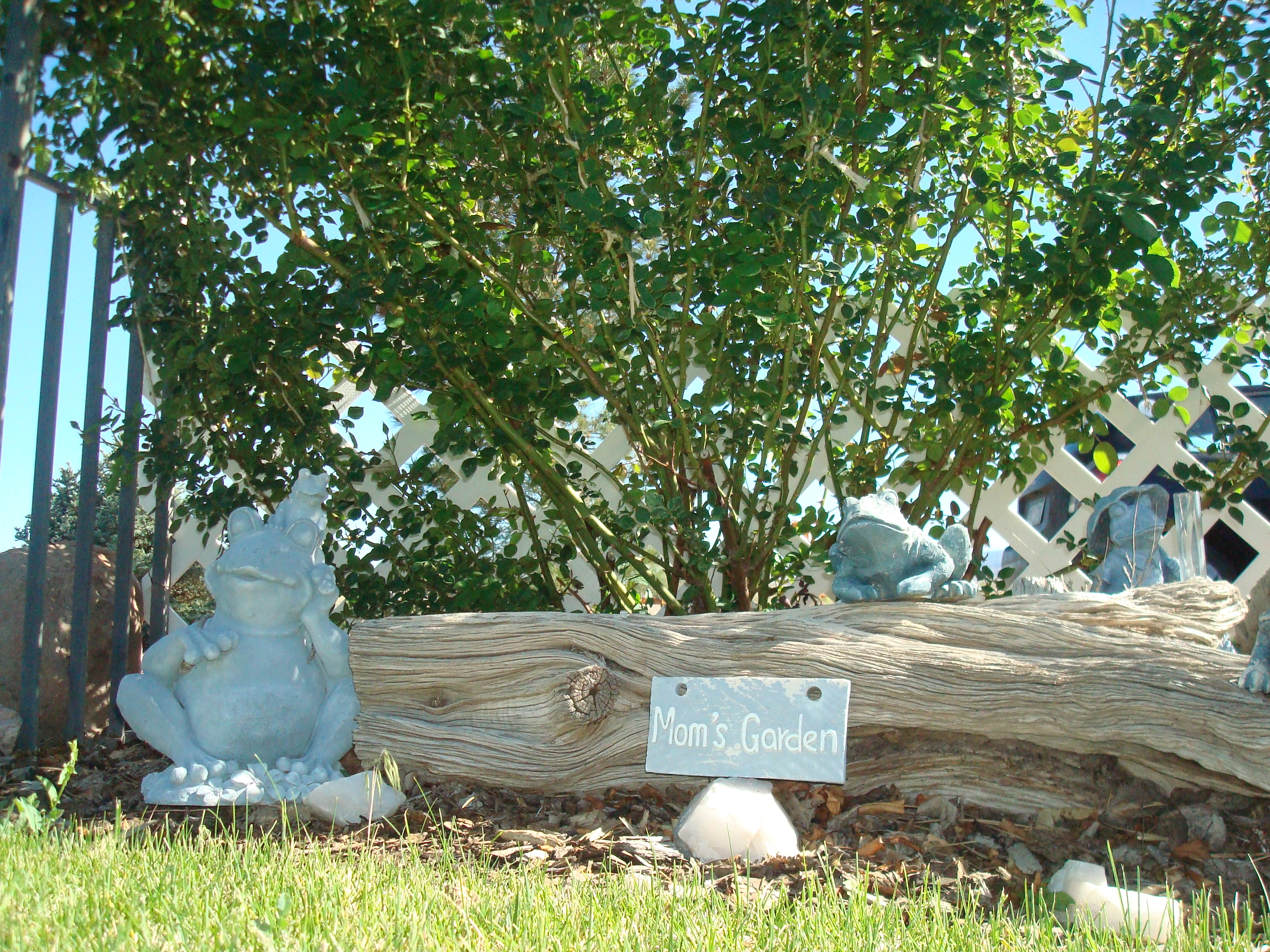 Ravens Gardens