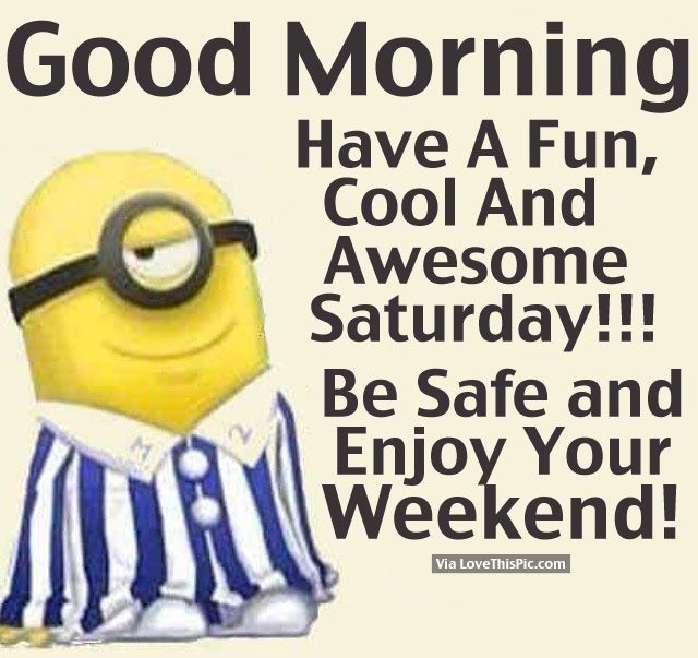 cool quotes for saturday  Good Morning Have A Fun Cool And Awesome  Saturday Pictures Pho  Good morning image quotes Good morning funny  Good morning saturday