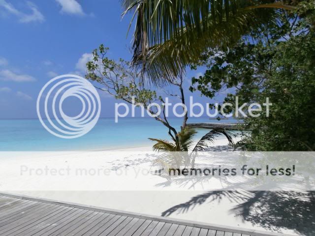 http://i27.photobucket.com/albums/c186/DavidKnapper/Maldivesbeach_zps142fe6e1.jpg