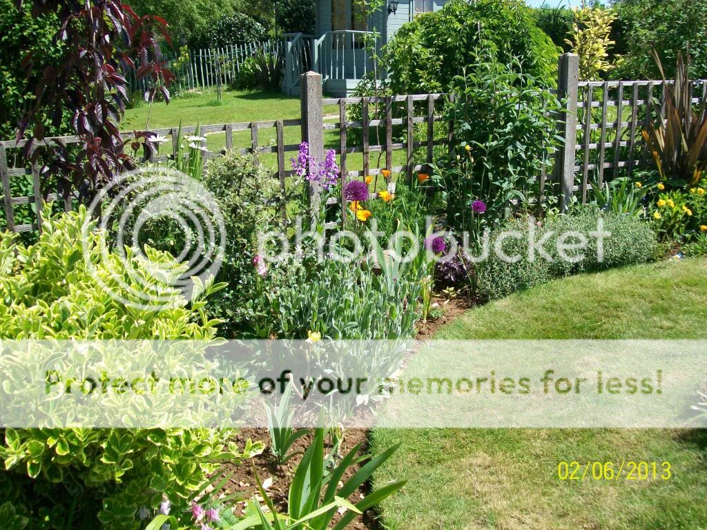 http://i1015.photobucket.com/albums/af278/bubbling_bubble_bee/100_8164_zpsf01a586e.jpg