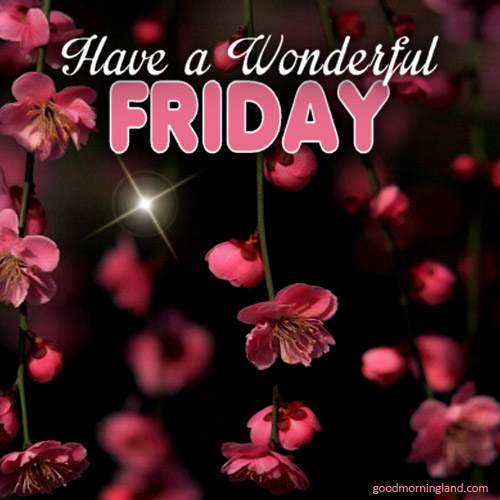 Image result for Have a wonderful Friday images