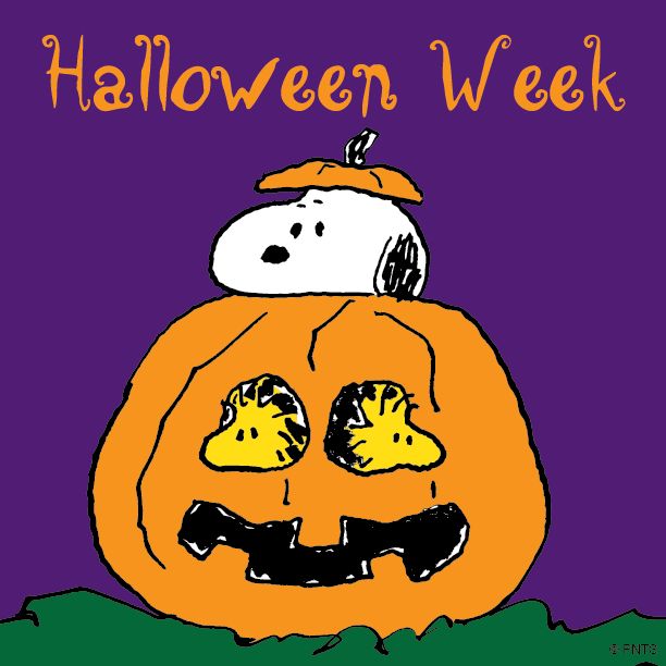 Halloween week  Snoopy halloween Charlie brown halloween Snoopy