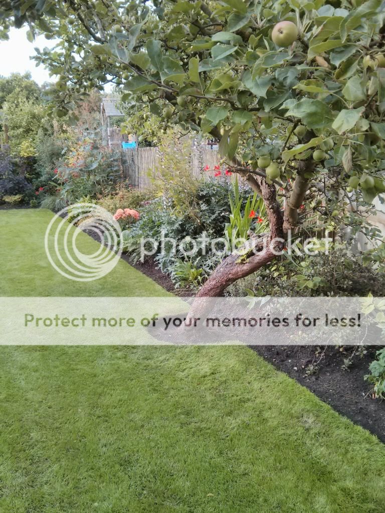 http://i822.photobucket.com/albums/zz150/edwardge1/IMG_20130804_183731_zps4412525c.jpg