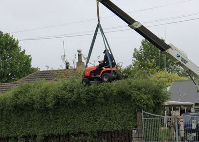 One Unusual Way of Trimming the Hedges 4 pics  Mowing Funny pictures  Funny