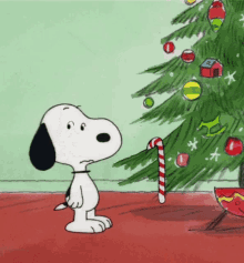 10 Snoopy Christmas Animations  Gifs  Snoopy christmas Merry christmas  gif Snoopy pictures