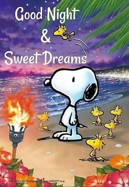 Beautiful beach beautiful night with wonderful friends  Snoopy pictures  Snoopy wallpaper Snoopy birthday
