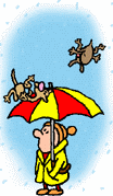 http://i1143.photobucket.com/albums/n627/thedogcody/RainCatsDogs.gif
