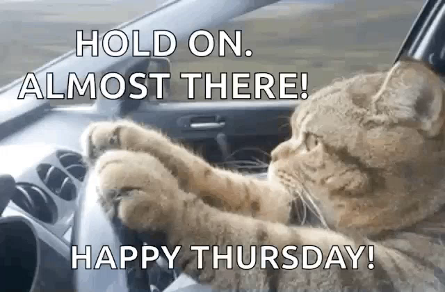 Its Thursday GIFs  Tenor